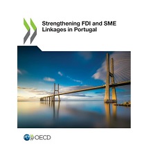Strengthening FDI and SME Linkages