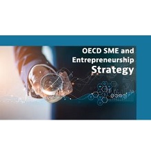 Survey on SMES