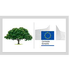 Novo quadro legislativo da UE para a monitorização florestal e planos estratégicos