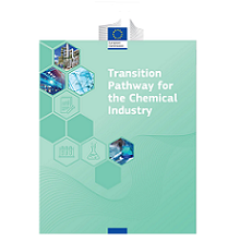Apresentação do Transition Pathway para a Indústria Química 