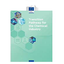 Apresentação do Transition Pathway para a Indústria Química