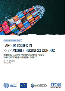 Formação OIT: Labour issues in Responsible Business Conduct