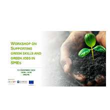 Apoiar as competências verdes e os empregos verdes nas PME: workshop online organizado pela OCDE em