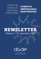 Newsletter Edição n.º 3