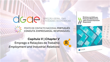 Vídeo Tutorial sobre o Capítulo V das Diretrizes da OCDE para Empresas Multinacionais sobre Conduta Vídeo Tutorial sobre o Capítulo V das Diretrizes da OCDE para Empresas Multinacionais sobre Conduta