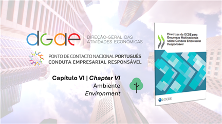 Vídeo Tutorial sobre o Capítulo VI das Diretrizes da OCDE para Empresas Multinacionais sobre Conduta Vídeo Tutorial sobre o Capítulo VI das Diretrizes da OCDE para Empresas Multinacionais sobre Conduta