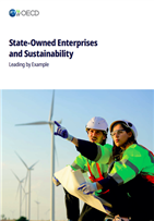 State-Owned Enterprises and Sustainability State-Owned Enterprises and Sustainability